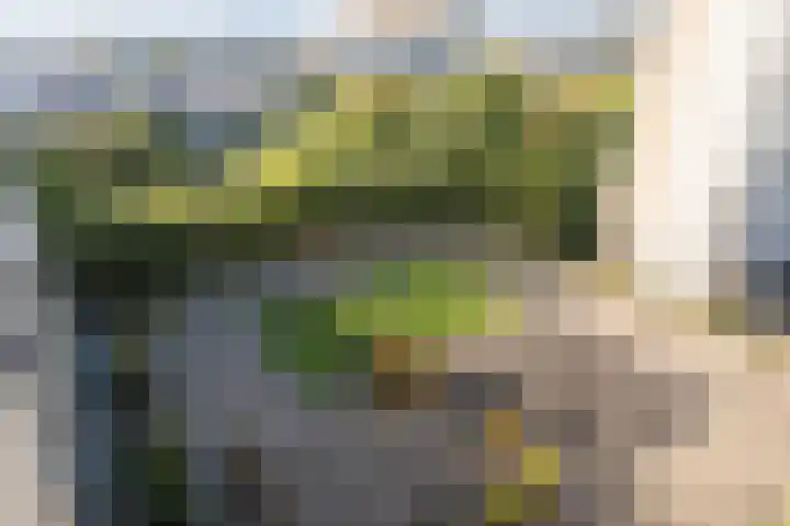 Gedempte Sloot 220 Den Haag thumbnail 34