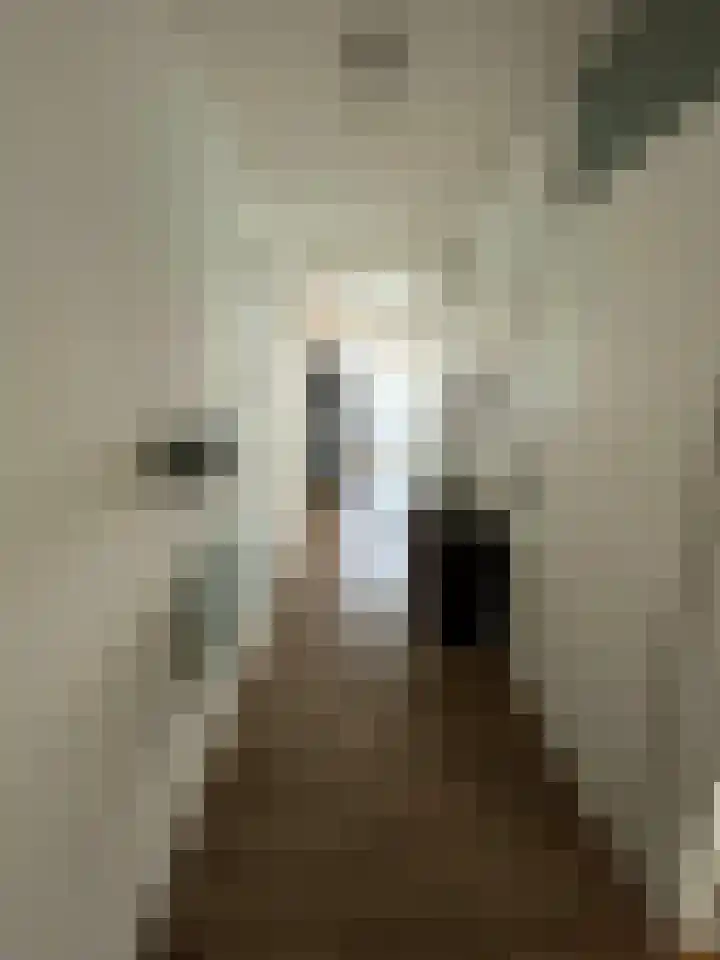 Gedempte Sloot 230 Den Haag thumbnail 12