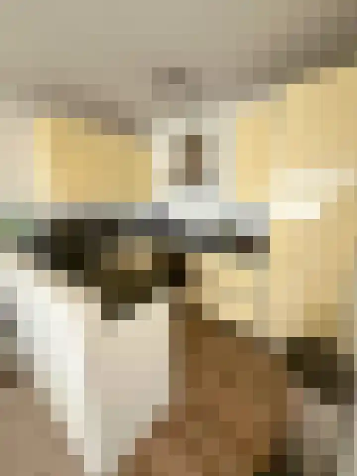 Gedempte Sloot 230 Den Haag thumbnail 26