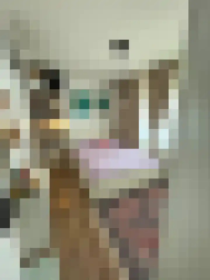 Gedempte Sloot 230 Den Haag thumbnail 31