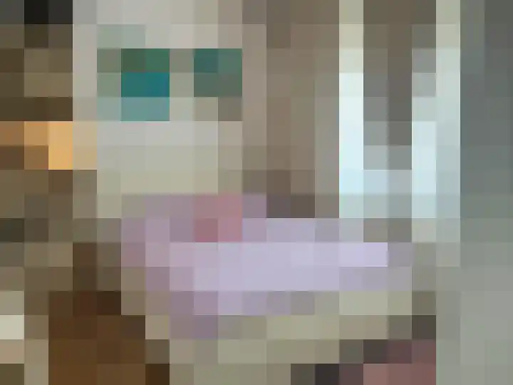 Gedempte Sloot 230 Den Haag thumbnail 32