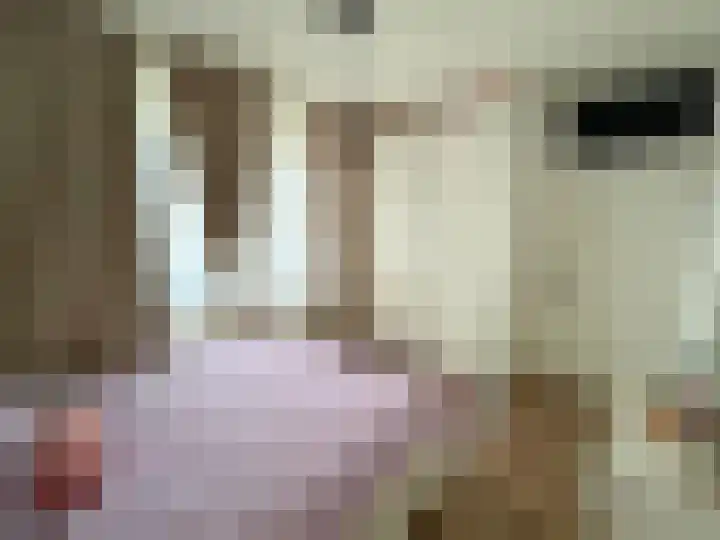 Gedempte Sloot 230 Den Haag thumbnail 33