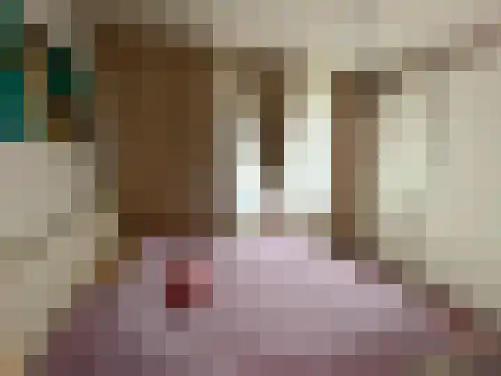 Gedempte Sloot 230 Den Haag thumbnail 34