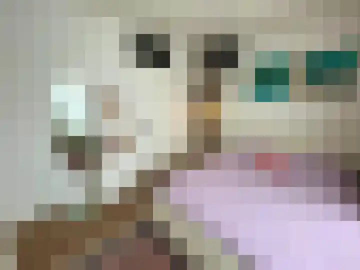 Gedempte Sloot 230 Den Haag thumbnail 37