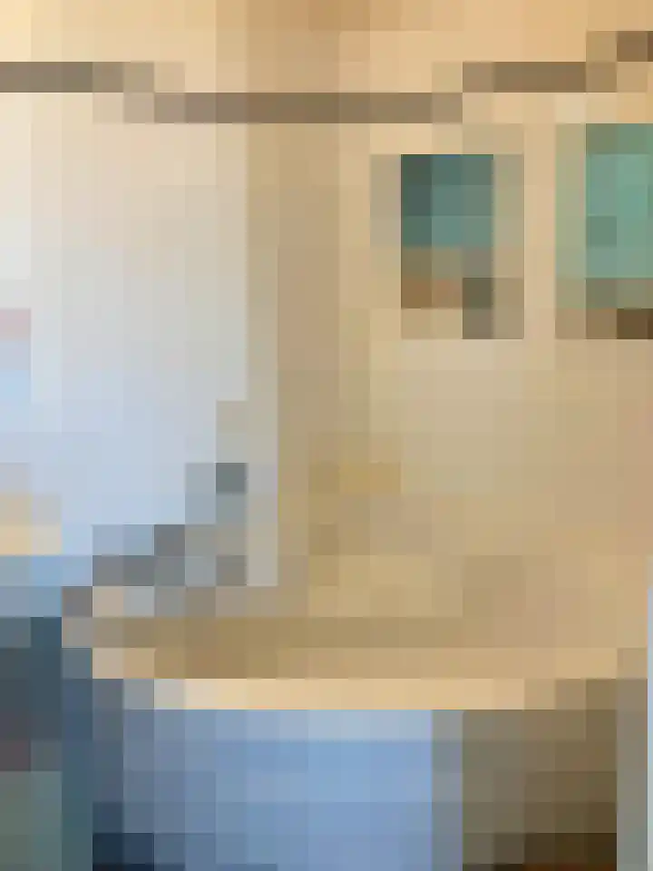 Gedempte Sloot 230 Den Haag thumbnail 41