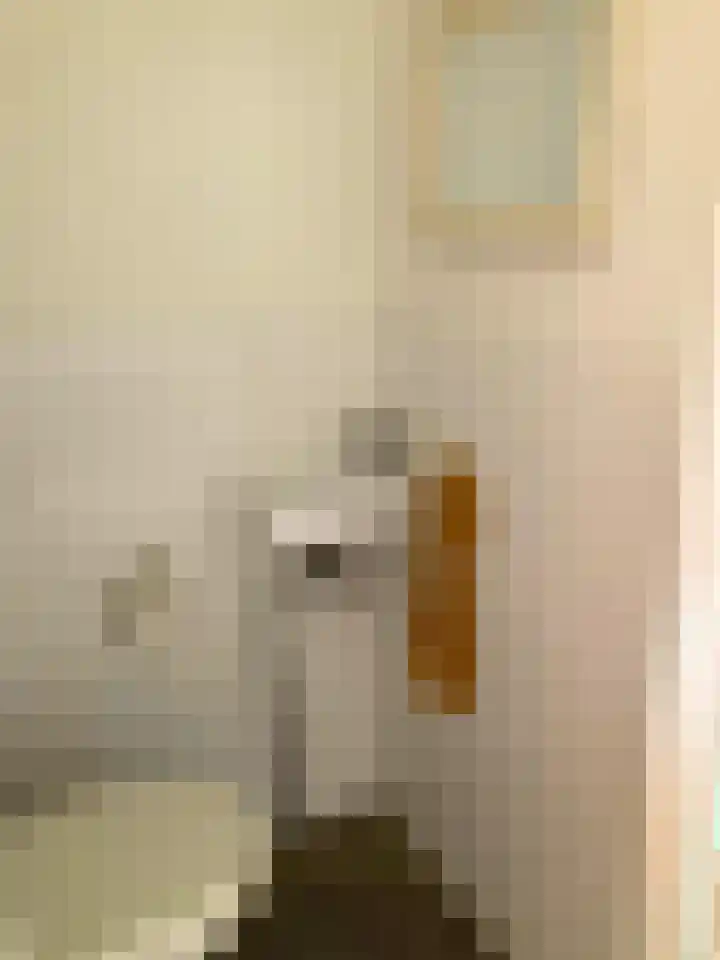 Gedempte Sloot 230 Den Haag thumbnail 42