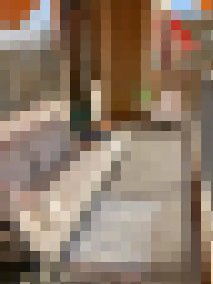 Gedempte Sloot 230 Den Haag thumbnail 44
