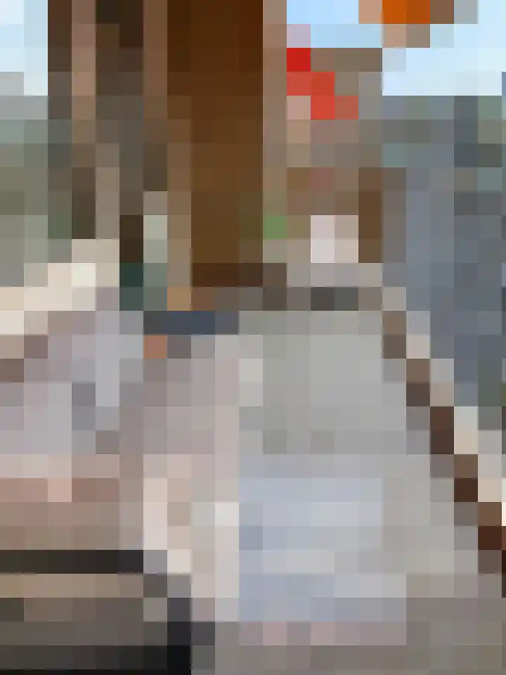 Gedempte Sloot 230 Den Haag thumbnail 46