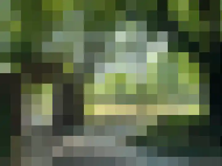 Gedempte Sloot 230 Den Haag thumbnail 5