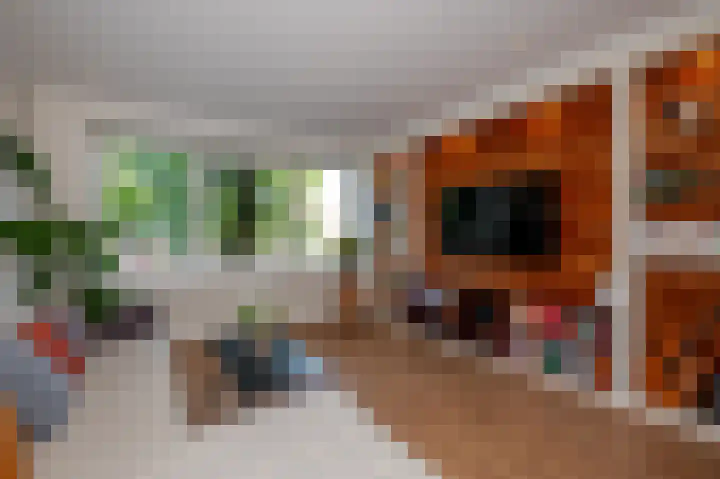 Gedempte Sloot 26 B Den Haag thumbnail 12