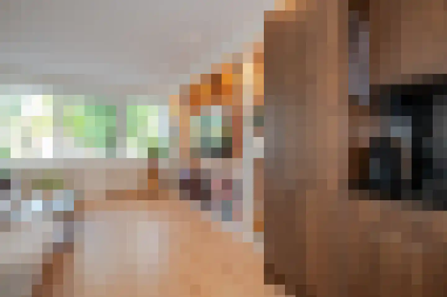 Gedempte Sloot 26 B Den Haag thumbnail 18
