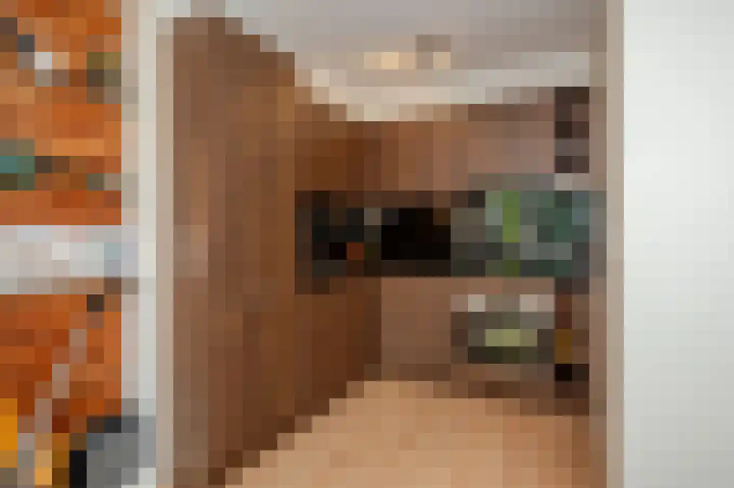 Gedempte Sloot 26 B Den Haag thumbnail 19