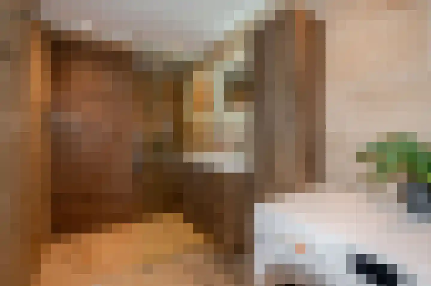 Gedempte Sloot 26 B Den Haag thumbnail 24