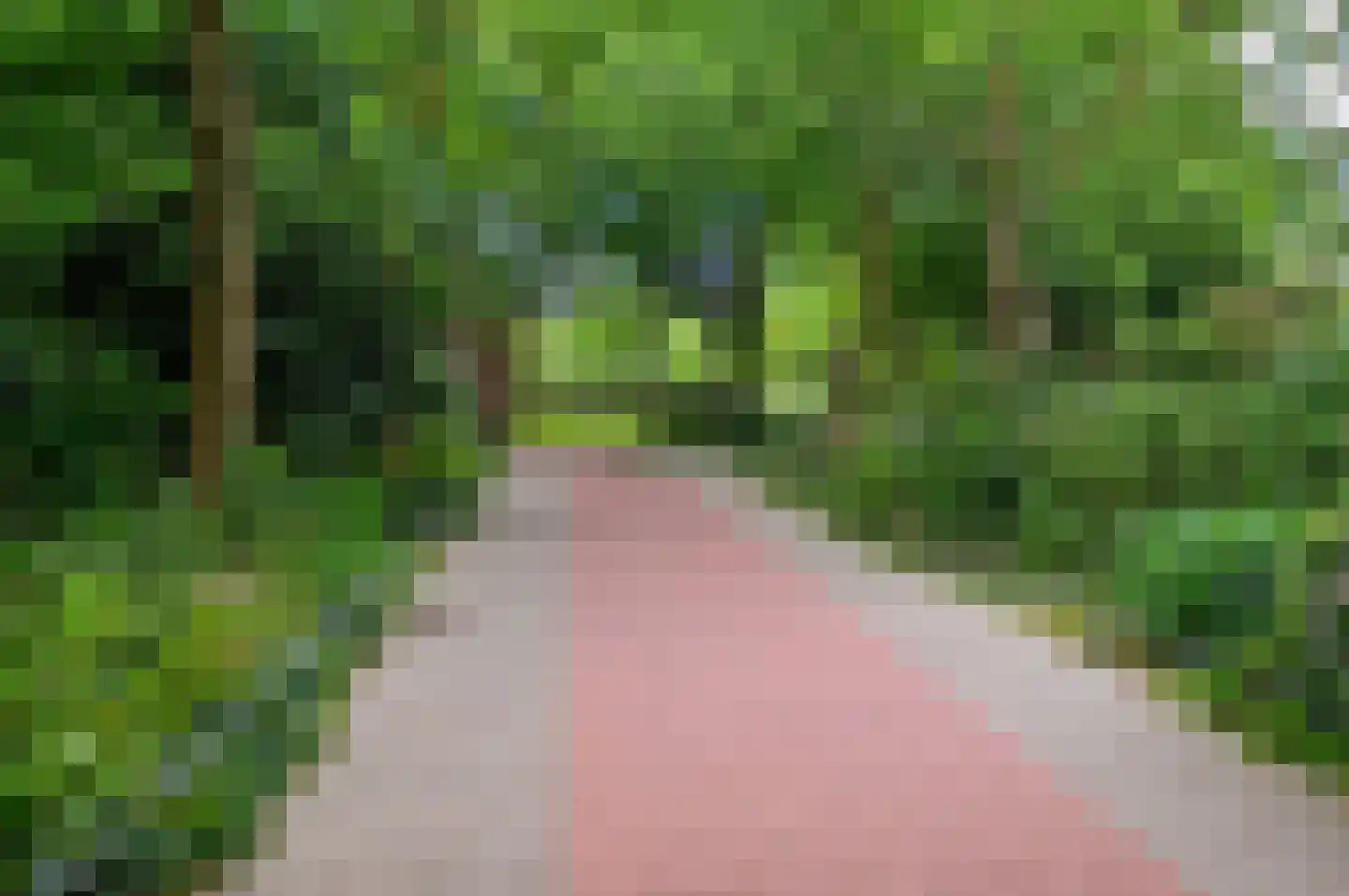 Gedempte Sloot 27 Den Haag thumbnail 30
