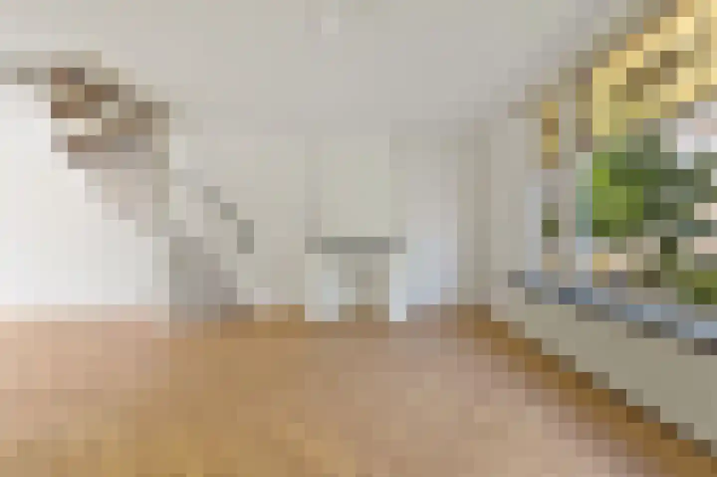 Gedempte Sloot 27 Den Haag thumbnail 6