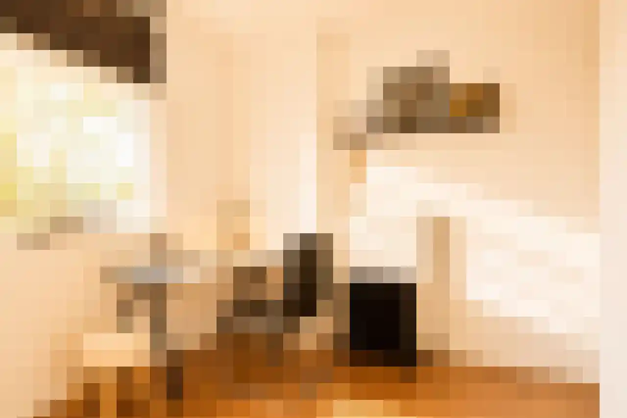 Gedempte Sloot 30 Den Haag thumbnail 12