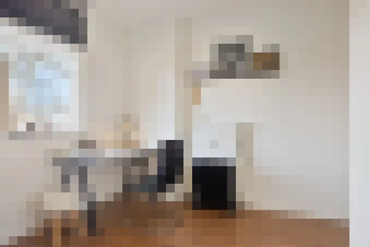 Gedempte Sloot 30 Den Haag thumbnail 24