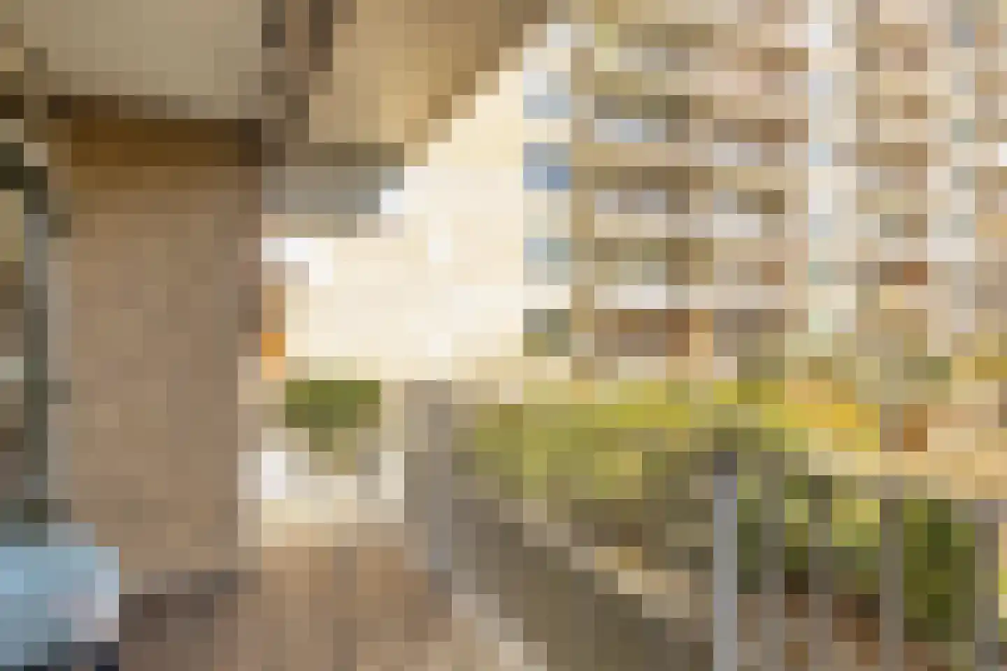 Gedempte Sloot 30 Den Haag thumbnail 26