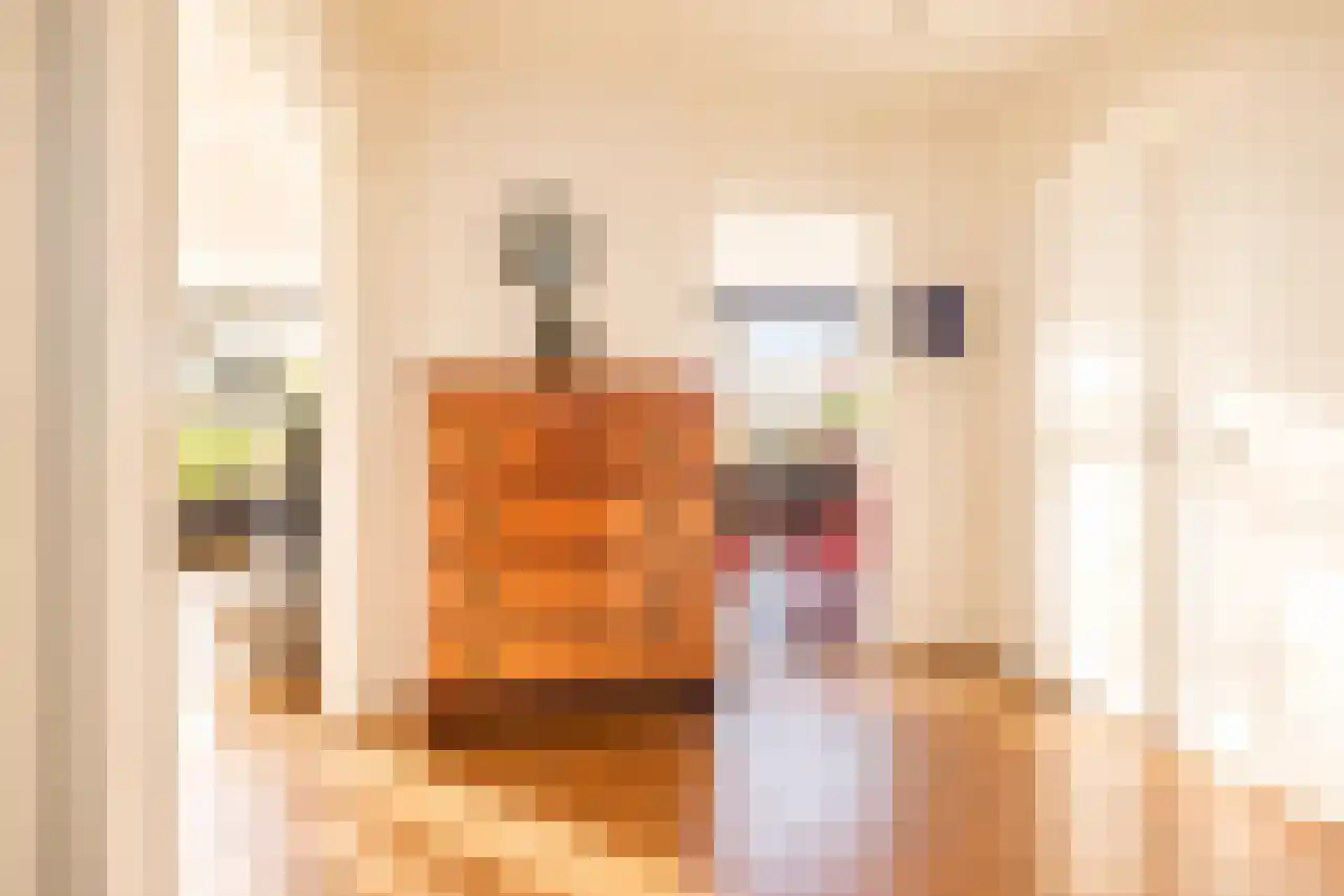 Gedempte Sloot 30 Den Haag thumbnail 8