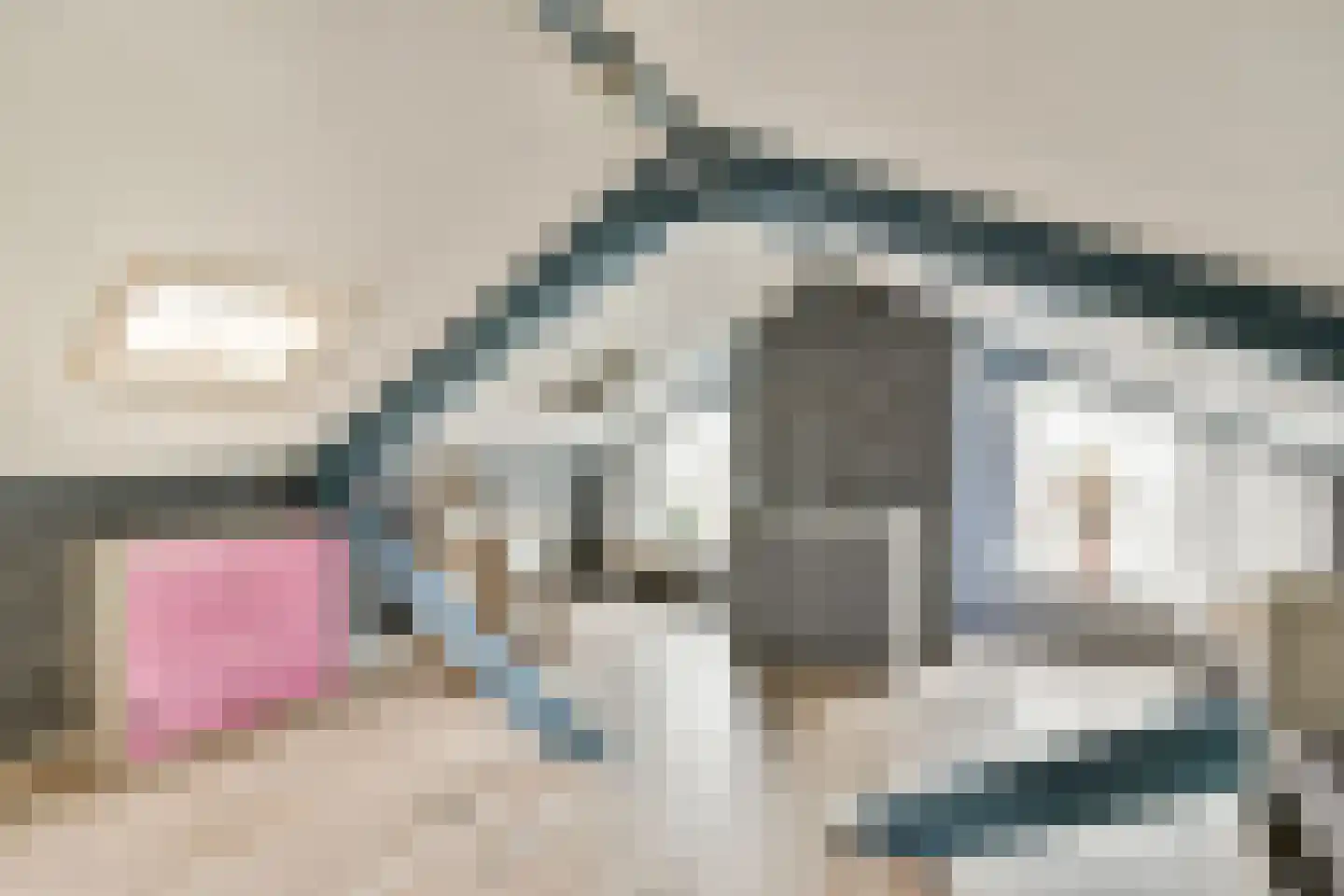 Gedempte sloot 34 Aalsmeer thumbnail 17