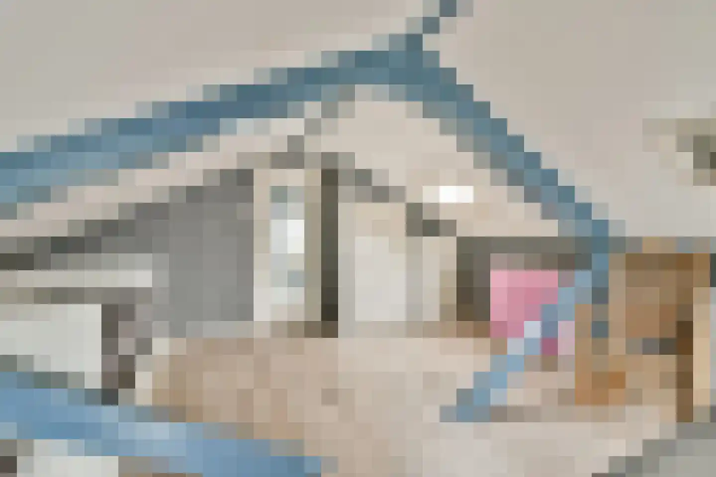 Gedempte sloot 34 Aalsmeer thumbnail 18