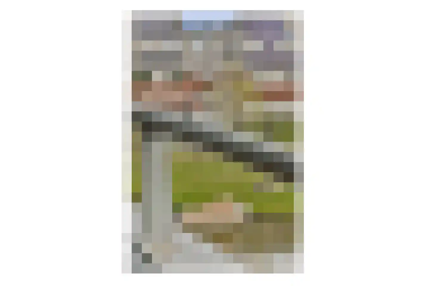 Gedempte Tankgracht 38 's-Gravenzande thumbnail 12