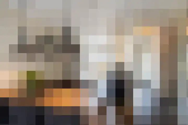 Gedempte Tankgracht 5 's-Gravenzande thumbnail 10