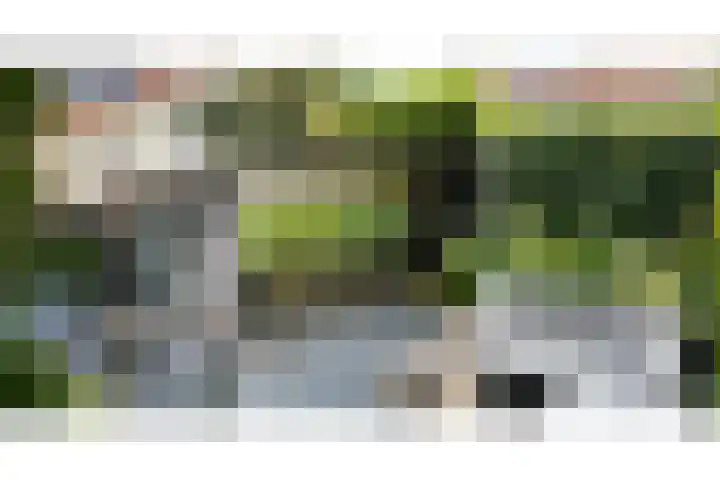 Gedempte Tankgracht 5 's-Gravenzande thumbnail 6