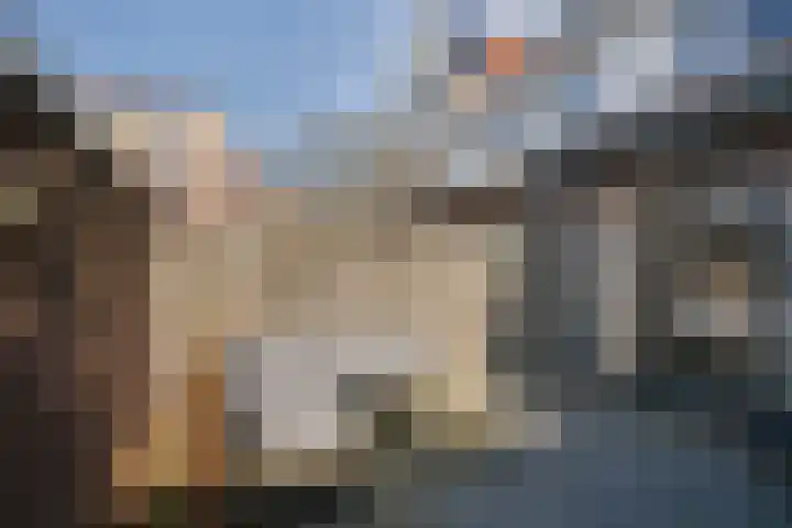 Gedempte Tankgracht 5 's-Gravenzande thumbnail 8
