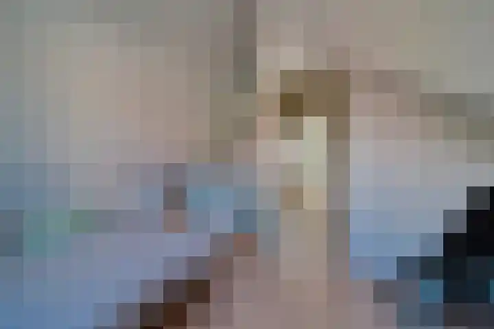 Gedempte Tankgracht 9 's-Gravenzande thumbnail 28
