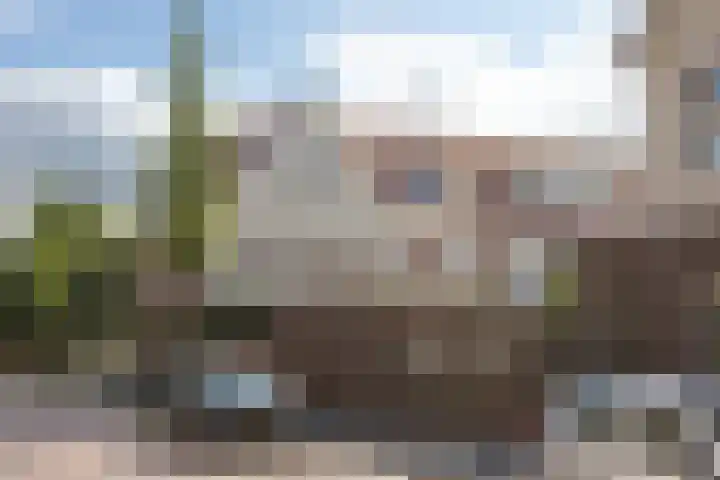 Gedempte Tankgracht 9 's-Gravenzande thumbnail 36