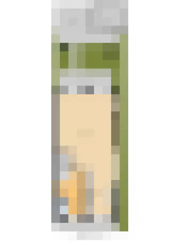 Gedempte Tankgracht 9 's-Gravenzande thumbnail 40