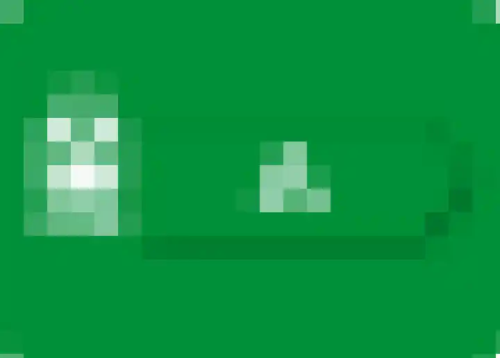 Gedempte Tankgracht 9 's-Gravenzande thumbnail 48