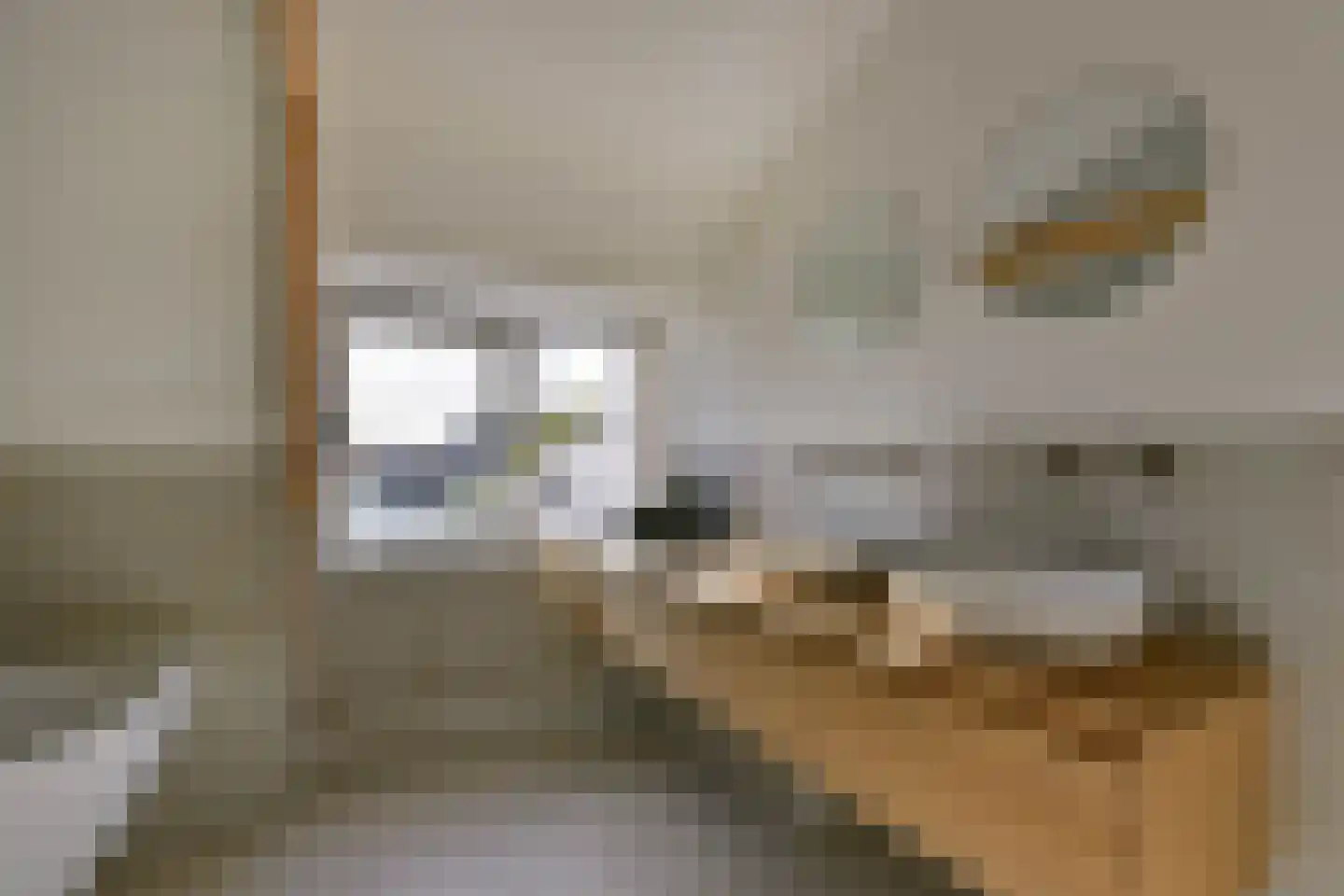 Gedempte Turfhaven 52 Hoorn thumbnail 28