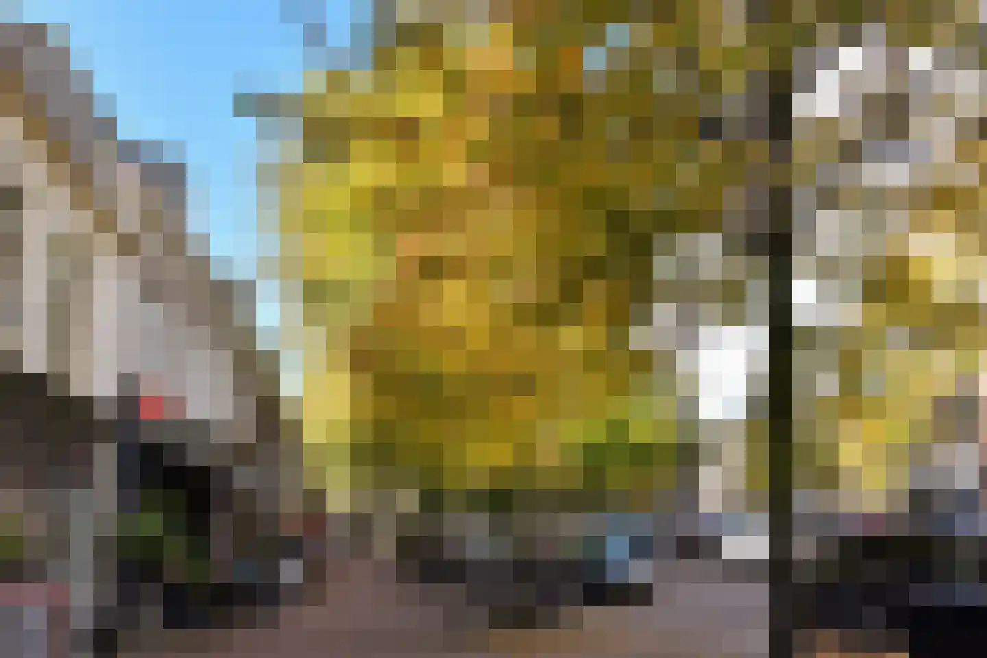 Gedempte Turfhaven 52 Hoorn thumbnail 33