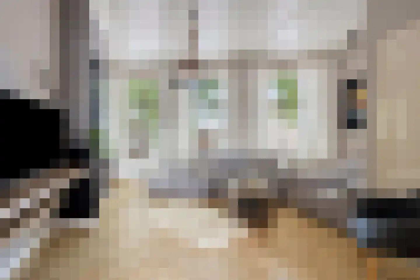 Gedempte Turfhaven 74 A Hoorn thumbnail 4