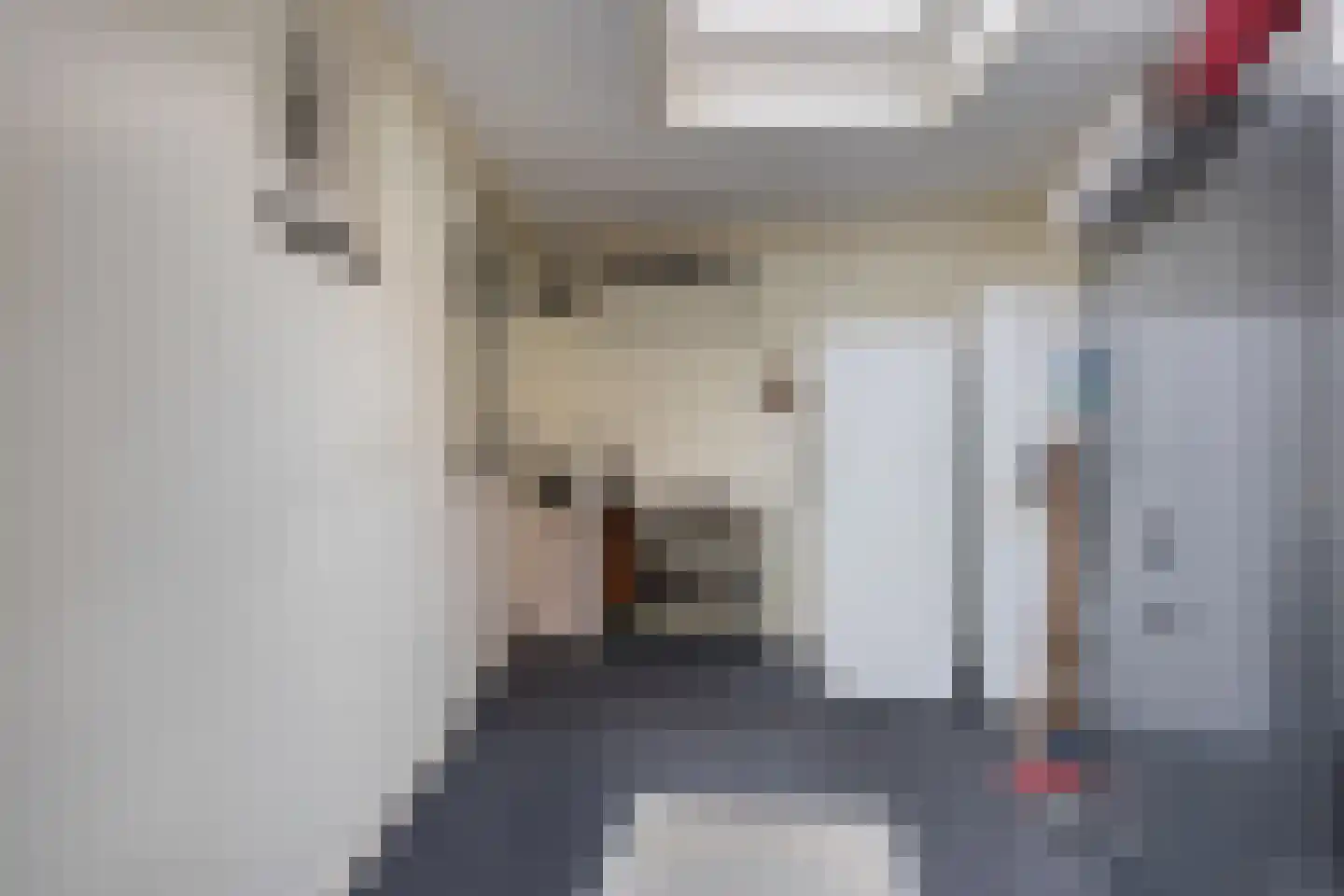 Gedempte Vaart 26 Surhuisterveen thumbnail 14