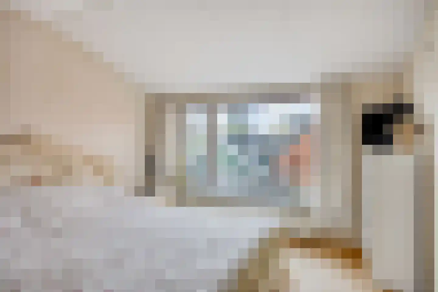 Gedempte Vaart 26 Surhuisterveen thumbnail 23