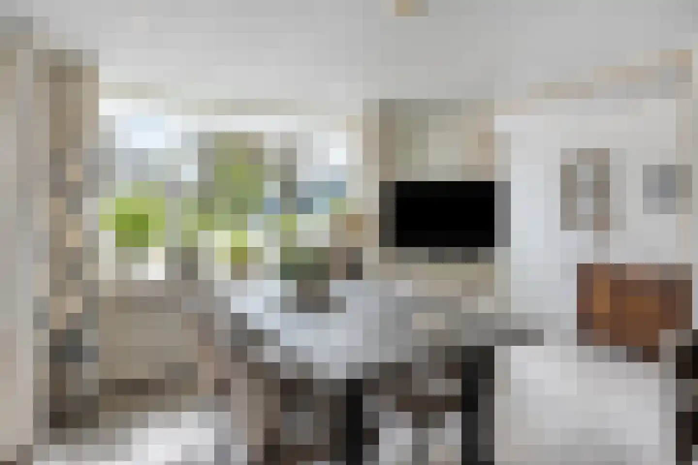 Gedempte Vaart 26 Surhuisterveen thumbnail 30