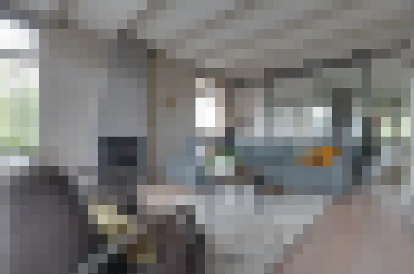 Gedempte Vaart 39 Surhuisterveen thumbnail 13