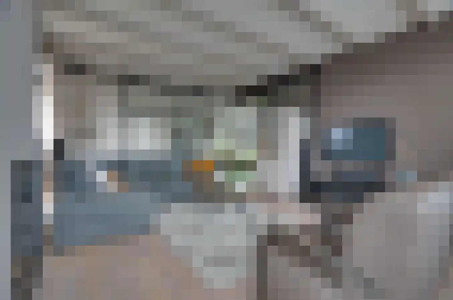Gedempte Vaart 39 Surhuisterveen thumbnail 14