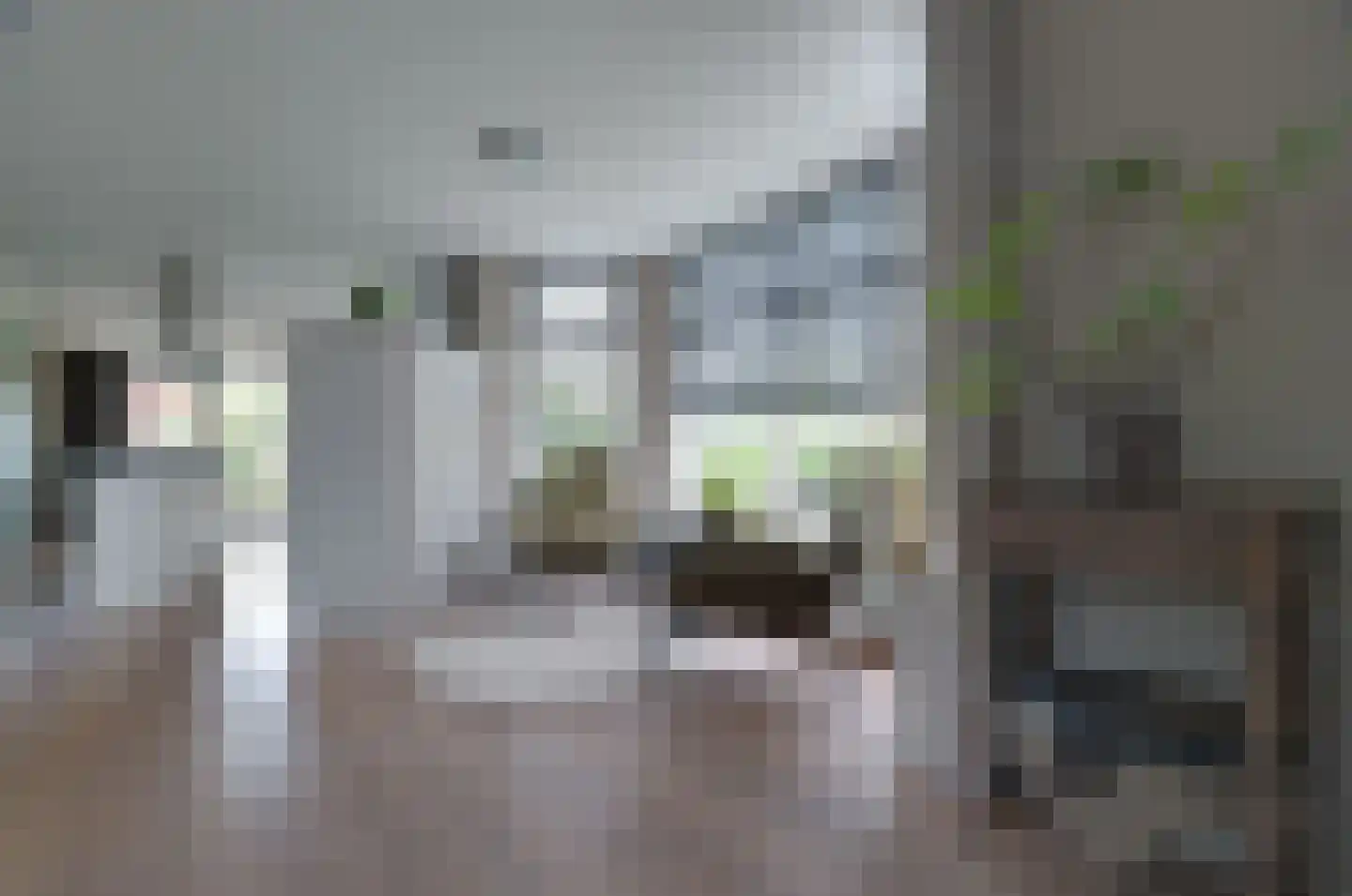 Gedempte Vaart 39 Surhuisterveen thumbnail 16