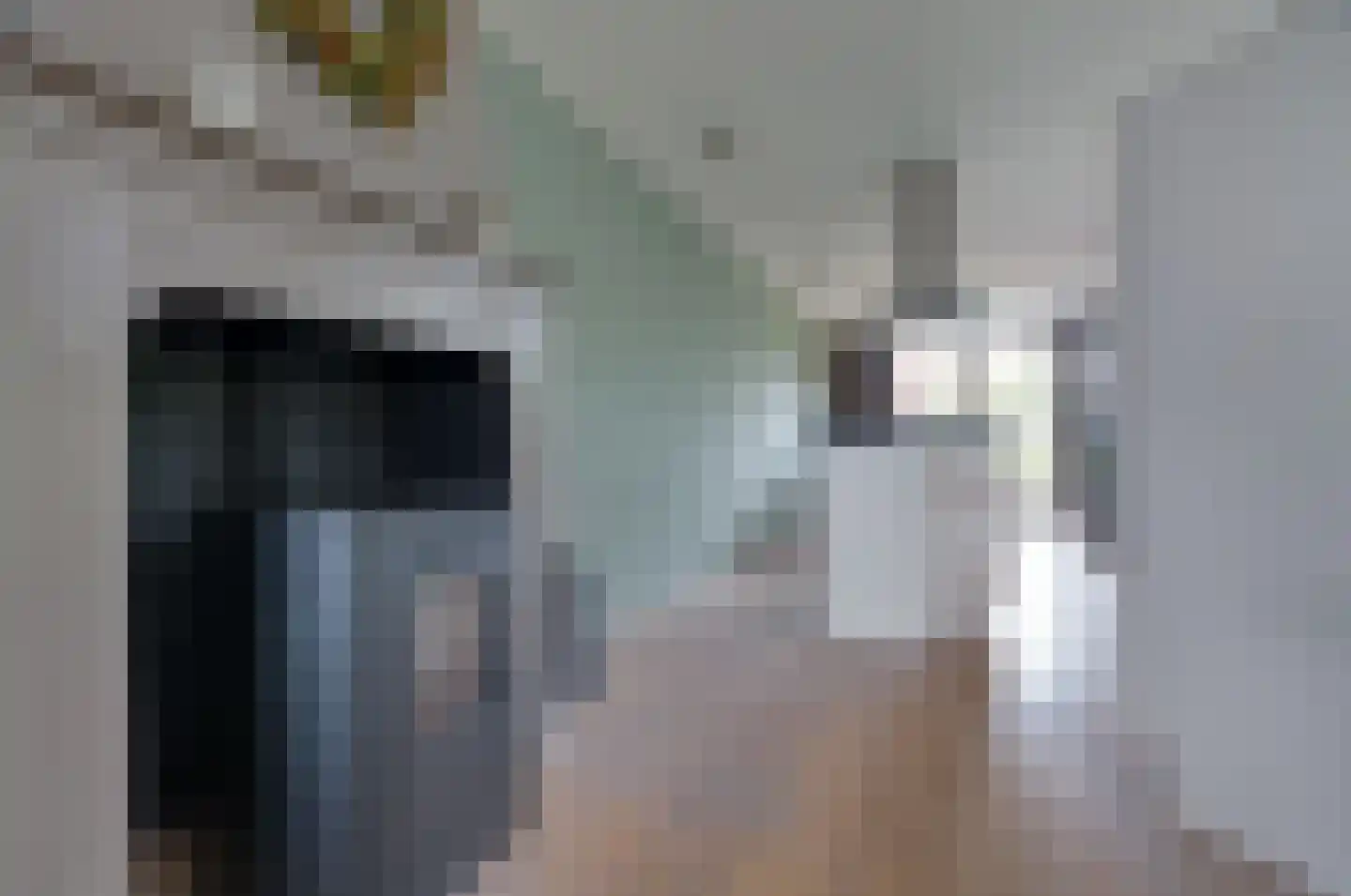 Gedempte Vaart 39 Surhuisterveen thumbnail 17