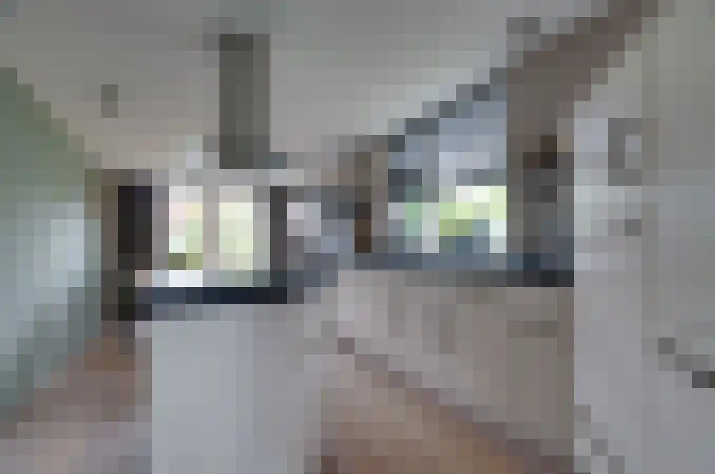 Gedempte Vaart 39 Surhuisterveen thumbnail 18