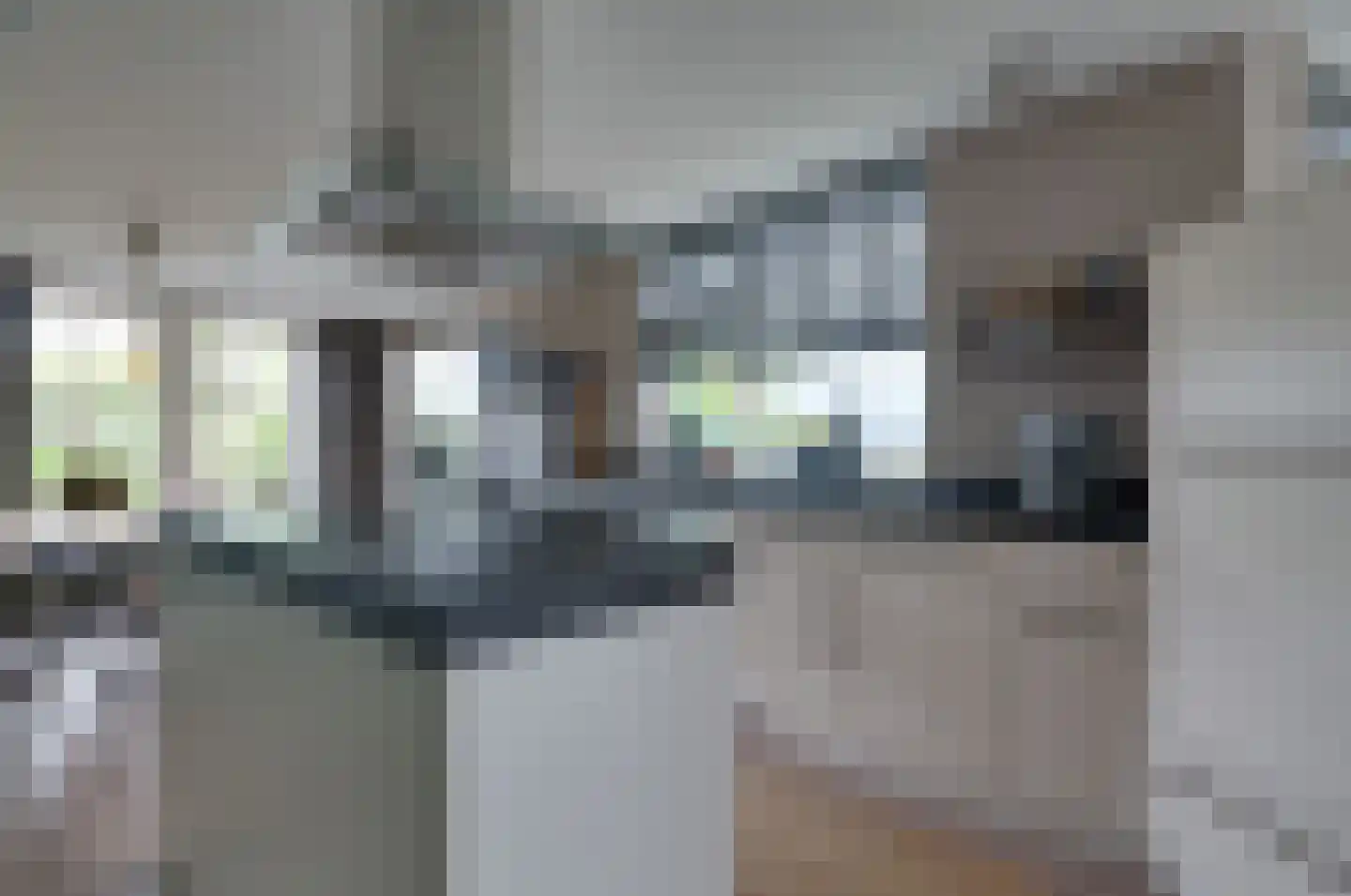 Gedempte Vaart 39 Surhuisterveen thumbnail 19