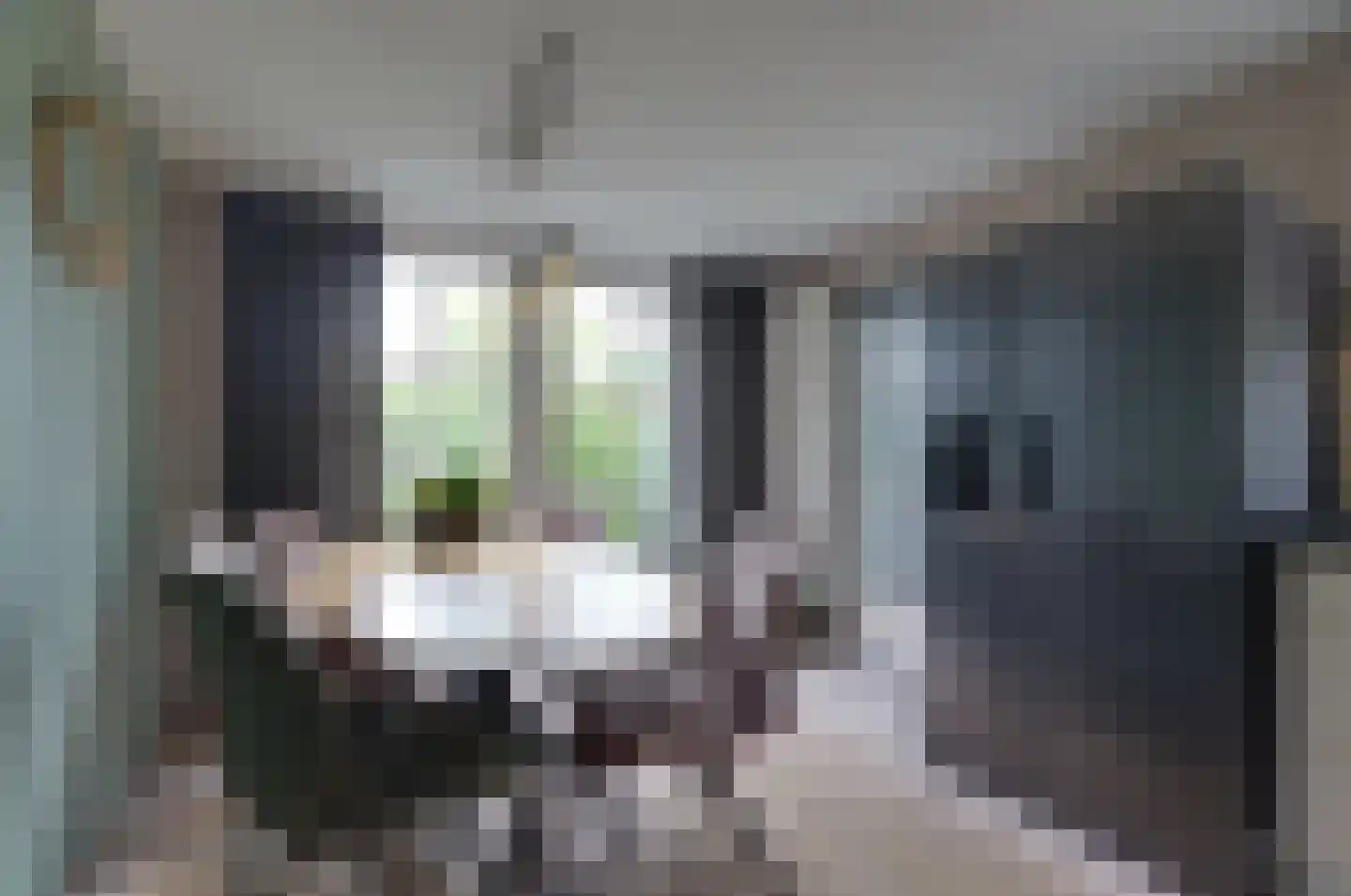 Gedempte Vaart 39 Surhuisterveen thumbnail 20