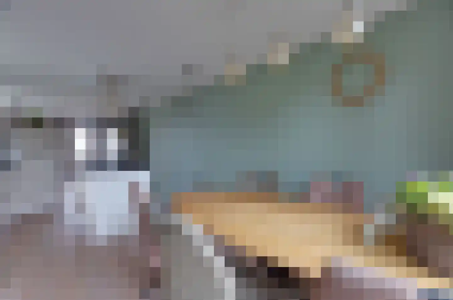 Gedempte Vaart 39 Surhuisterveen thumbnail 23
