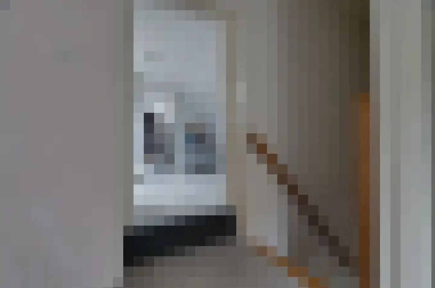 Gedempte Vaart 39 Surhuisterveen thumbnail 33