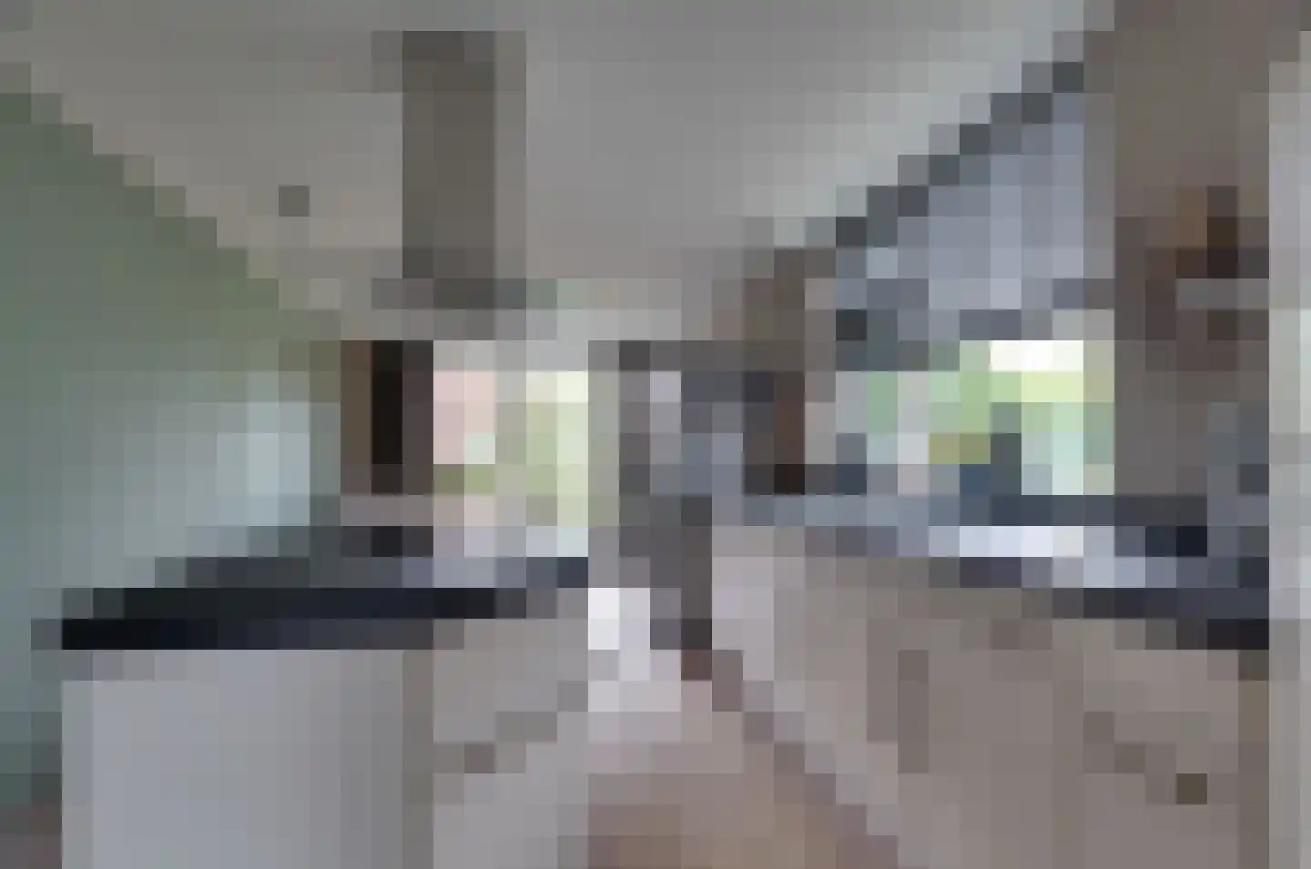 Gedempte Vaart 39 Surhuisterveen thumbnail 4