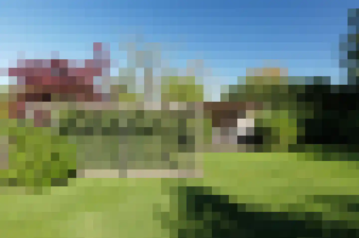Gedempte Vaart 39 Surhuisterveen thumbnail 55